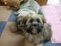 SUKHUMVIT�i�X�N���r�b�g�j&HIT�����̃u���O