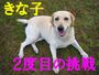 �Y�b�R�P���K���x�@�����Ȏq�����̃u���O