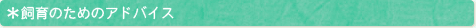 ����̂��߂̃A�h�o�C�X