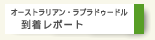 �������|�[�g