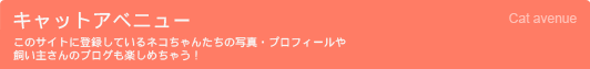 �L���b�g�A�x�j���[ ���̃T�C�g�ɓo�^���Ă���l�R����񂽂��̎ʐ^�E�v���t�B�[���⎔���傳��̃u���O���y���߂��Ⴄ�I