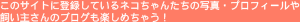 ���̃T�C�g�ɓo�^���Ă���l�R����񂽂��̎ʐ^�E�v���t�B�[���⎔���傳��̃u���O���y���߂��Ⴄ�I