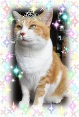�~�b�N�X�L