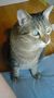 �G�̏�ŐQ�邱�ơ