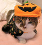 �{�[������