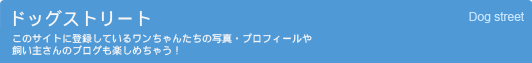 �h�b�O�X�g���[�g ���̃T�C�g�ɓo�^���Ă��郏������񂽂��̎ʐ^�E�v���t�B�[���⎔���傳��̃u���O���y���߂��Ⴄ�I