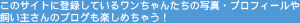 ���̃T�C�g�ɓo�^���Ă��郏������񂽂��̎ʐ^�E�v���t�B�[���⎔���傳��̃u���O���y���߂��Ⴄ�I