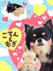 �`����