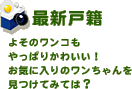 �ŐV�ː�