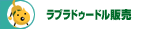 �u���[�f�B���O