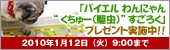  �u�o�C�G�� ���ɂ��g������[�i�쒎�j�h�����낭 �v�v���[���g�I
