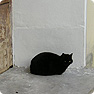 photo:PETST Library