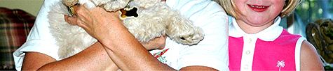 Our Passion for Australian Labradoodles
