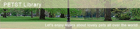 PETST Library Let's enjoy topics about lovely pets all over the world!