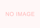 ���̑��i2�j