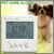 PET CARE CLOCK�i���E�l�R�p�j