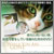 �L�̂��߂�DVD / ���Ȃ������Ȃ��Ƃ��̂��߂Ɂ@