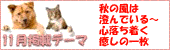 �t�H�g�R���e�X�g �G���g���[��t���I�I